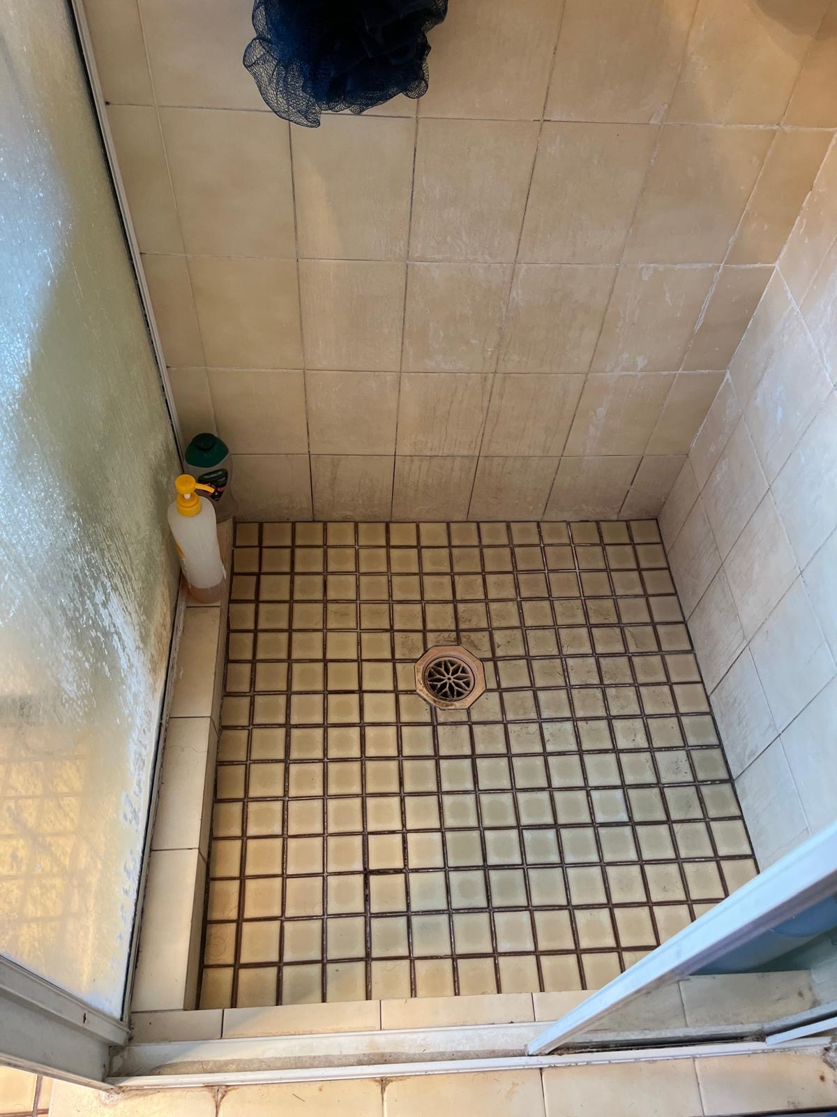 Black mouldy grout before repair